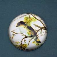 wholesale popular beautiful crystal paperweight